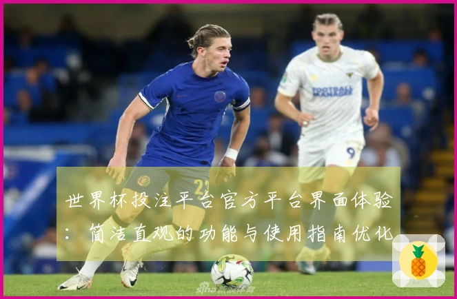 世界杯投注平台官方平台界面体验：简洁直观的功能与使用指南优化
