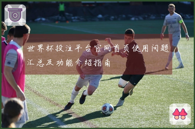 世界杯投注平台官网首页使用问题汇总及功能介绍指南