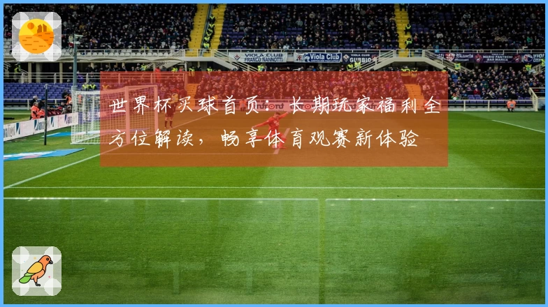 世界杯买球首页：长期玩家福利全方位解读，畅享体育观赛新体验