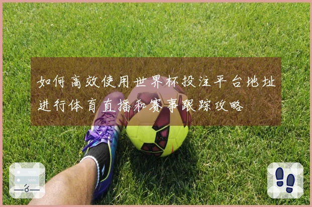 如何高效使用世界杯投注平台地址进行体育直播和赛事跟踪攻略