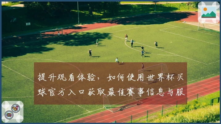 提升观看体验，如何使用世界杯买球官方入口获取最佳赛事信息与服务