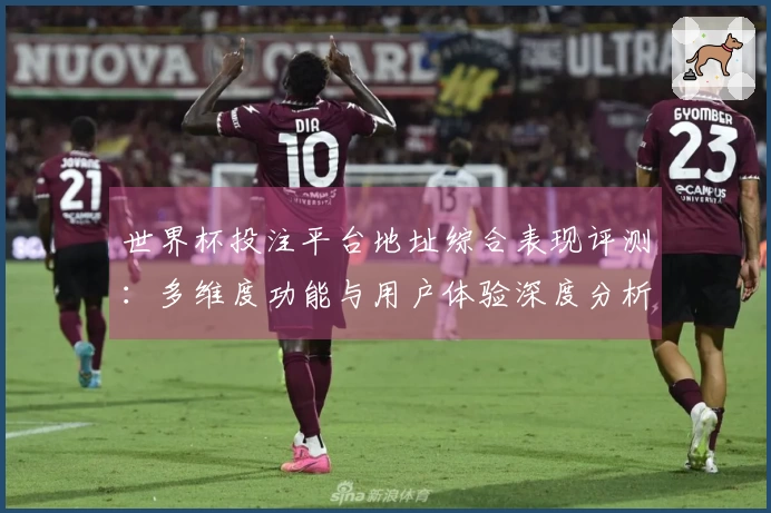 世界杯投注平台地址综合表现评测：多维度功能与用户体验深度分析