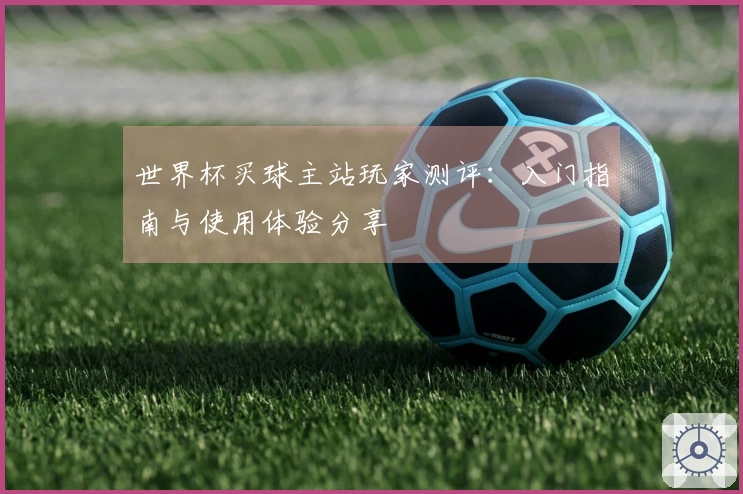 世界杯买球主站玩家测评：入门指南与使用体验分享