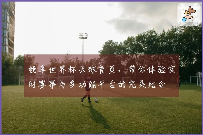 畅享世界杯买球首页，带你体验实时赛事与多功能平台的完美结合