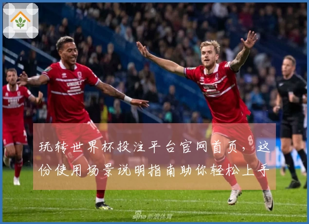 玩转世界杯投注平台官网首页，这份使用场景说明指南助你轻松上手