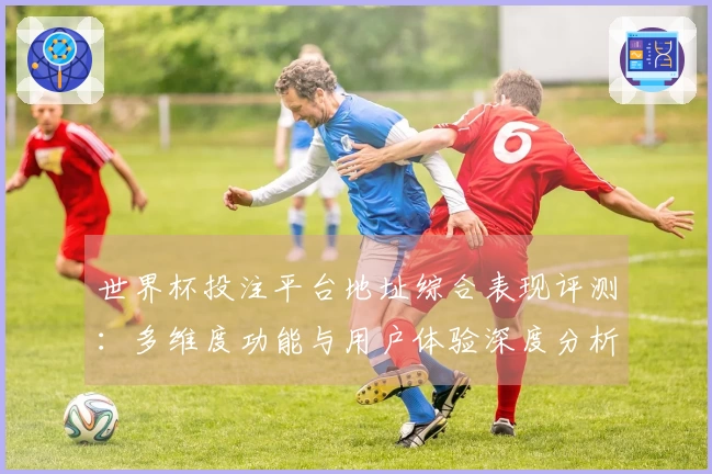 世界杯投注平台地址综合表现评测：多维度功能与用户体验深度分析