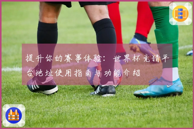 提升你的赛事体验：世界杯竞猜平台地址使用指南与功能介绍