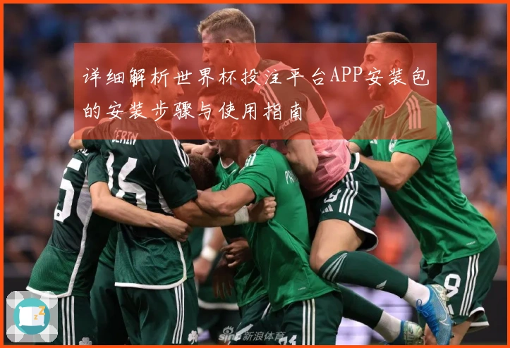 详细解析世界杯投注平台APP安装包的安装步骤与使用指南