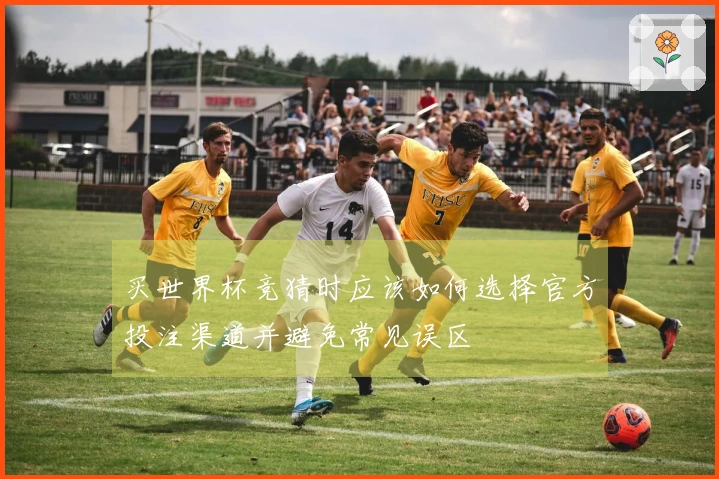 买世界杯竞猜时应该如何选择官方投注渠道并避免常见误区