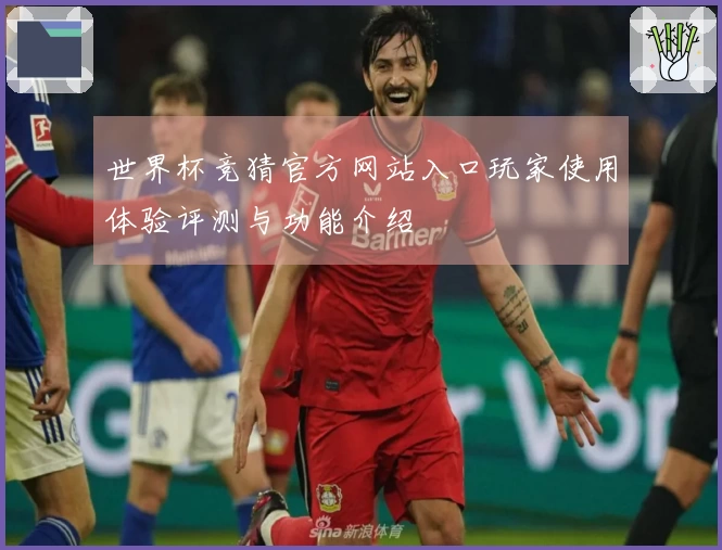 世界杯竞猜官方网站入口玩家使用体验评测与功能介绍