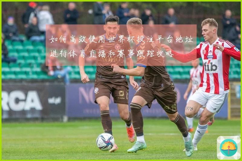 如何高效使用世界杯投注平台地址进行体育直播和赛事跟踪攻略