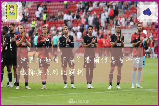 世界杯如何下注？赛前信息与平台选择要点对比解析