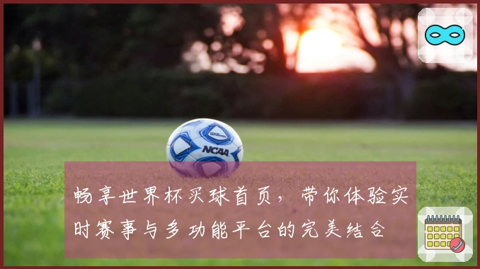 畅享世界杯买球首页，带你体验实时赛事与多功能平台的完美结合