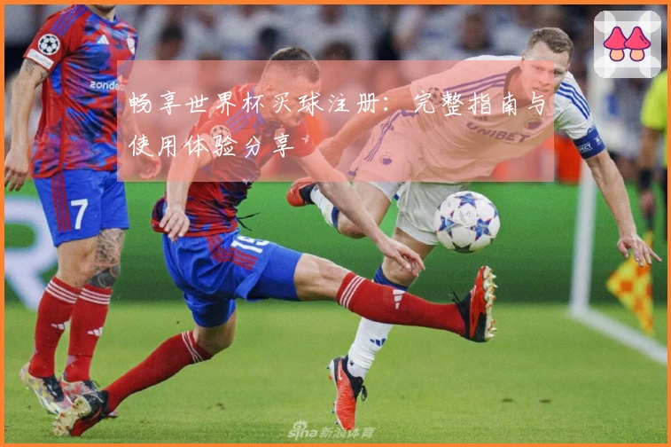 畅享世界杯买球注册：完整指南与使用体验分享