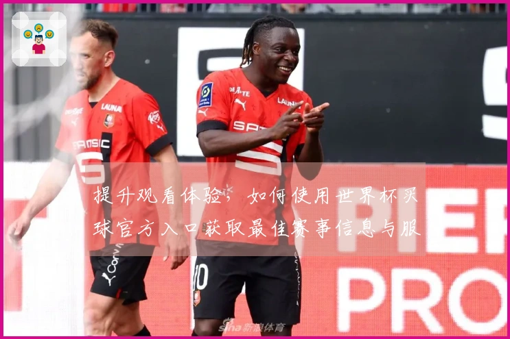 提升观看体验，如何使用世界杯买球官方入口获取最佳赛事信息与服务